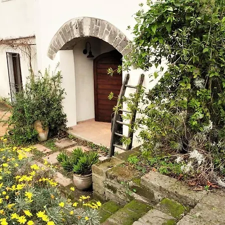 Casa Modigliani Вилла *